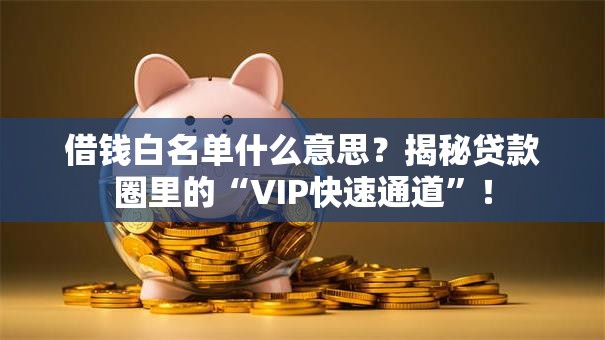 借钱白名单什么意思？揭秘贷款圈里的“VIP快速通道”！