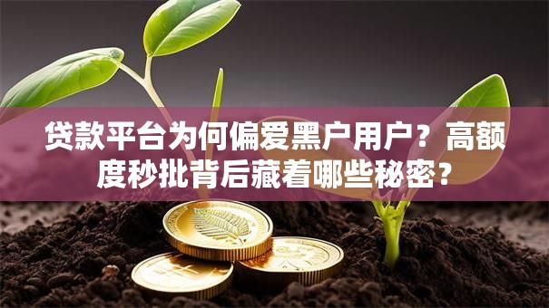 贷款平台为何偏爱黑户用户？高额度秒批背后藏着哪些秘密？