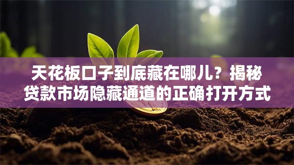 天花板口子到底藏在哪儿？揭秘贷款市场隐藏通道的正确打开方式！