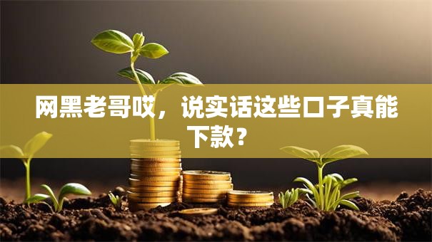网黑老哥哎，说实话这些口子真能下款？