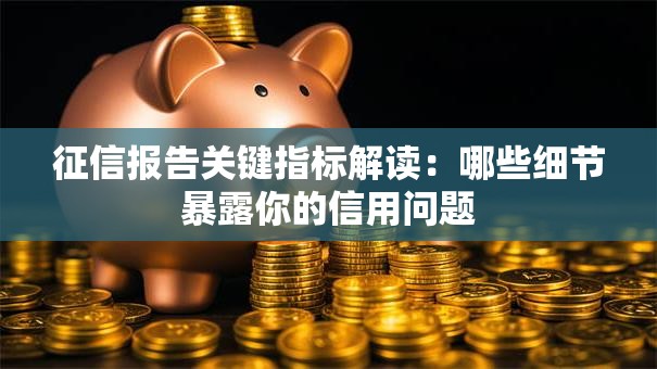 征信报告关键指标解读：哪些细节暴露你的信用问题