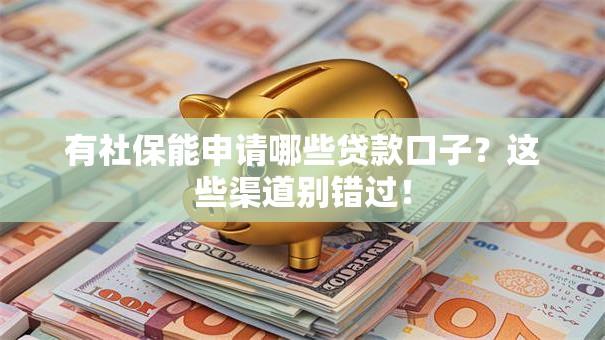 有社保能申请哪些贷款口子？这些渠道别错过！