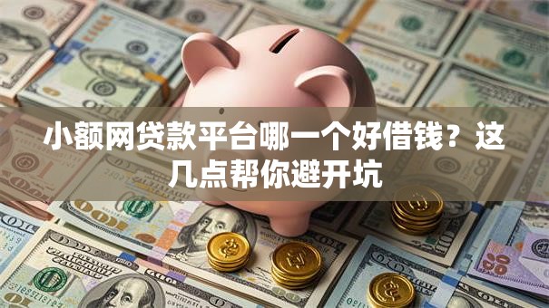 小额网贷款平台哪一个好借钱？这几点帮你避开坑