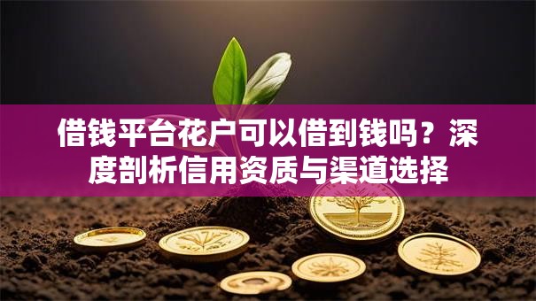 借钱平台花户可以借到钱吗？深度剖析信用资质与渠道选择