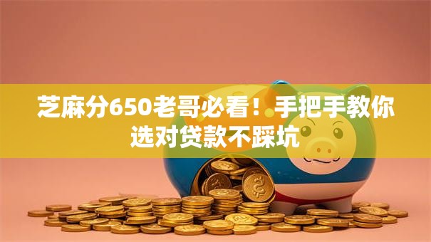 芝麻分650老哥必看！手把手教你选对贷款不踩坑