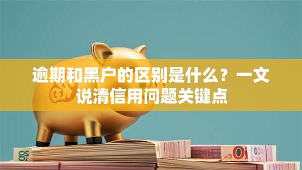 逾期和黑户的区别是什么？一文说清信用问题关键点