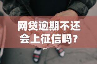 网贷逾期不还会上征信吗？一文讲透后果与补救方法