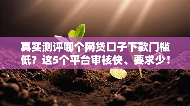 真实测评哪个网贷口子下款门槛低？这5个平台审核快、要求少！