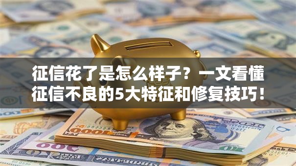 征信花了是怎么样子？一文看懂征信不良的5大特征和修复技巧！