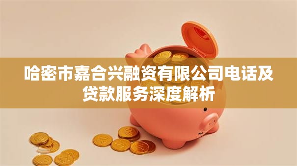 哈密市嘉合兴融资有限公司电话及贷款服务深度解析