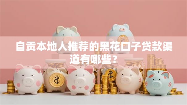 自贡本地人推荐的黑花口子贷款渠道有哪些？