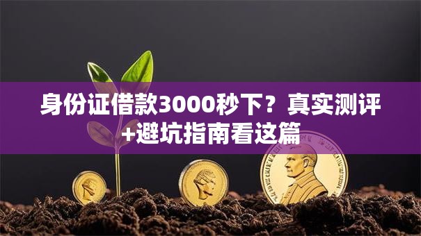 身份证借款3000秒下？真实测评+避坑指南看这篇
