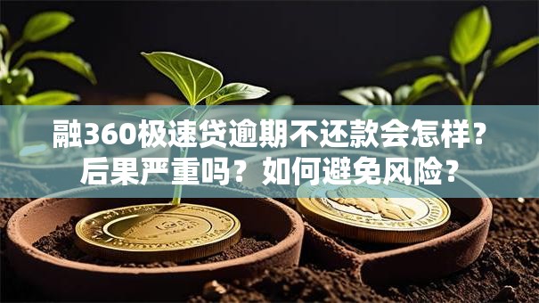 融360极速贷逾期不还款会怎样？后果严重吗？如何避免风险？