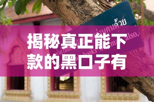 揭秘真正能下款的黑口子有哪些？避坑指南必藏版