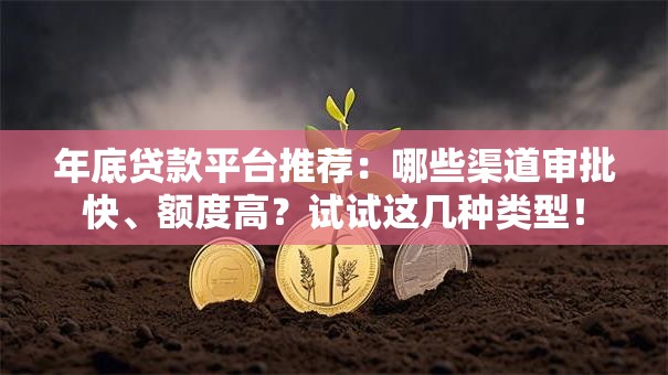 年底贷款平台推荐：哪些渠道审批快、额度高？试试这几种类型！