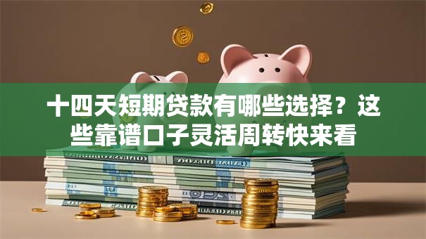 十四天短期贷款有哪些选择？这些靠谱口子灵活周转快来看