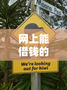 网上能借钱的口子有哪些？盘点常见渠道及注意事项