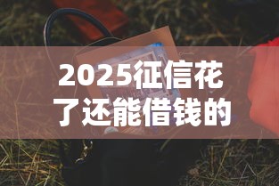 2025征信花了还能借钱的平台靠谱吗？实测推荐渠道