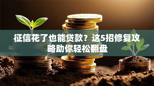 征信花了也能贷款？这5招修复攻略助你轻松翻盘