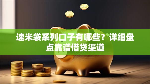 速米袋系列口子有哪些？详细盘点靠谱借贷渠道