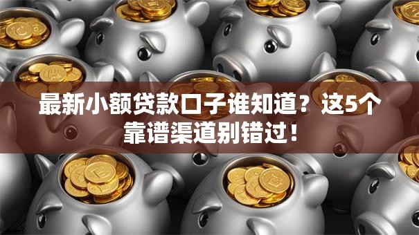 最新小额贷款口子谁知道？这5个靠谱渠道别错过！