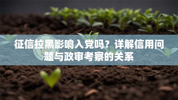 征信拉黑影响入党吗？详解信用问题与政审考察的关系