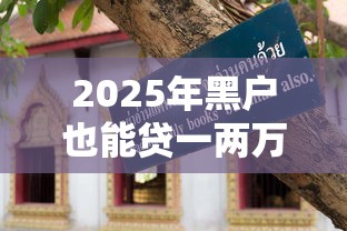 2025年黑户也能贷一两万？最新避坑指南+实用技巧速看！