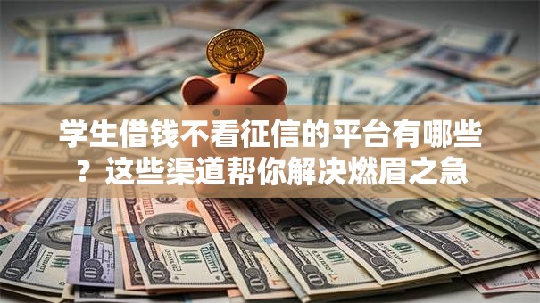 学生借钱不看征信的平台有哪些?这些渠道帮你解决燃眉之急 学生借钱不看征信的平台有哪些?这些渠道帮你解决燃眉之急