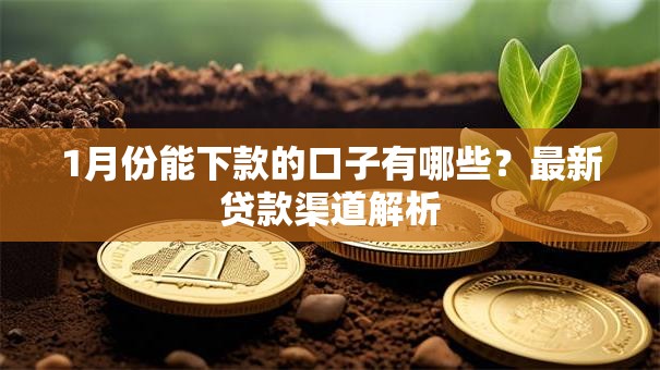1月份能下款的口子有哪些？最新贷款渠道解析