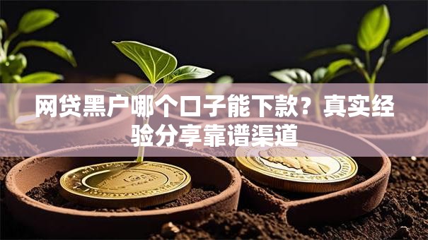 网贷黑户哪个口子能下款？真实经验分享靠谱渠道