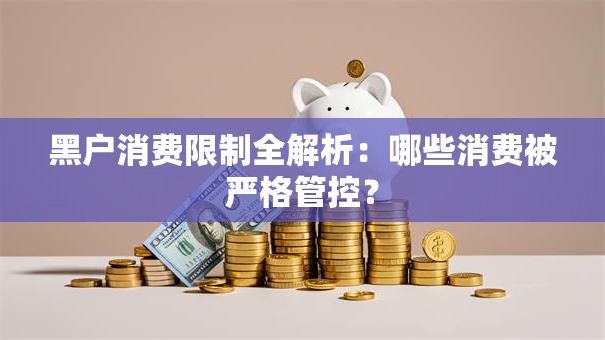 黑户消费限制全解析：哪些消费被严格管控？