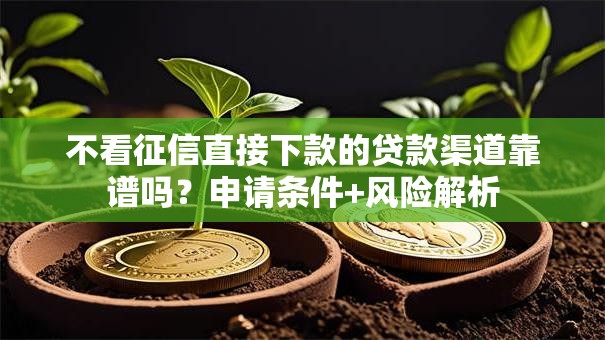 不看征信直接下款的贷款渠道靠谱吗？申请条件+风险解析