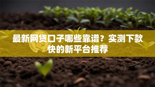 最新网贷口子哪些靠谱？实测下款快的新平台推荐