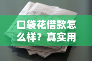 口袋花借款怎么样？真实用户测评+申请流程全解析