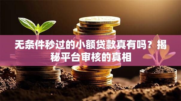 无条件秒过的小额贷款真有吗？揭秘平台审核的真相