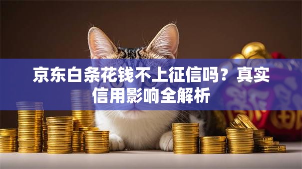 京东白条花钱不上征信吗？真实信用影响全解析