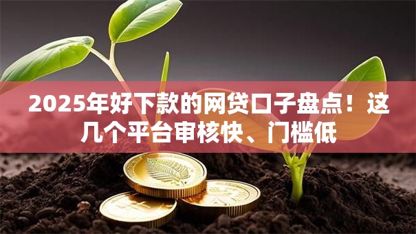 2025年好下款的网贷口子盘点！这几个平台审核快、门槛低