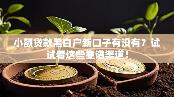 小额贷款黑白户新口子有没有？试试看这些靠谱渠道！