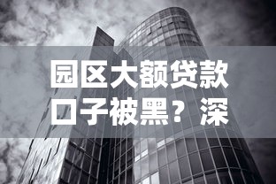 园区大额贷款口子被黑？深度解析避坑指南