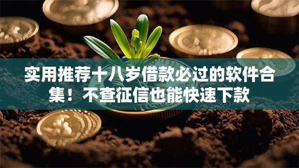 实用推荐十八岁借款必过的软件合集！不查征信也能快速下款