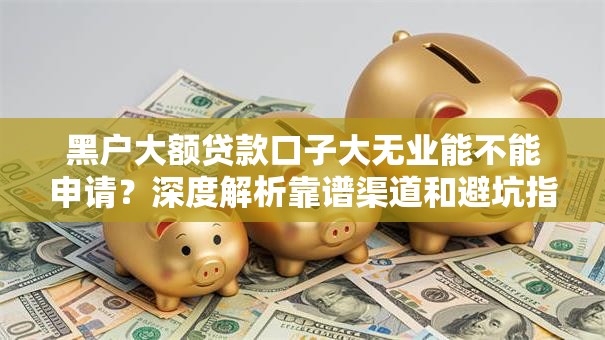 黑户大额贷款口子大无业能不能申请？深度解析靠谱渠道和避坑指南
