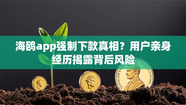 海鸥app强制下款真相？用户亲身经历揭露背后风险