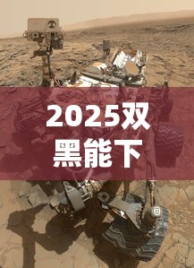 2025双黑能下的高炮口子真的存在吗？实测解析