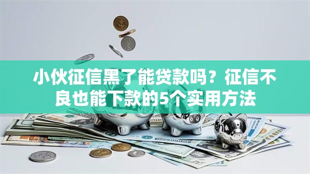 小伙征信黑了能贷款吗？征信不良也能下款的5个实用方法