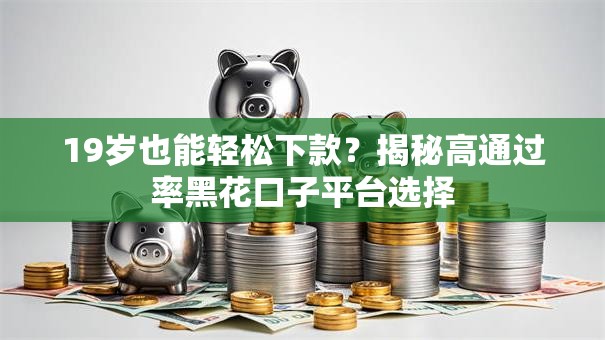 19岁也能轻松下款？揭秘高通过率黑花口子平台选择