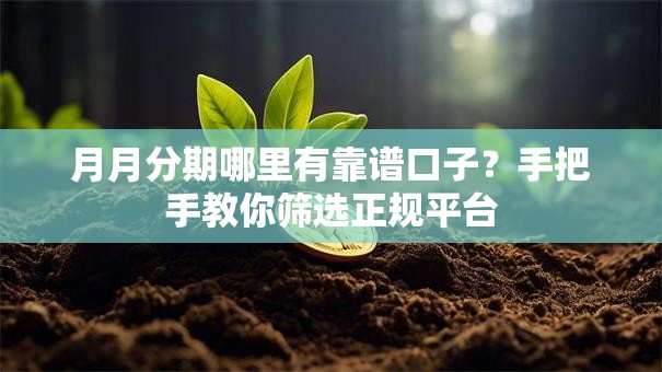 月月分期哪里有靠谱口子？手把手教你筛选正规平台
