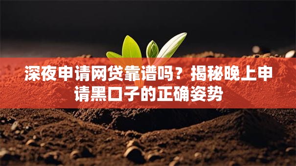 深夜申请网贷靠谱吗？揭秘晚上申请黑口子的正确姿势