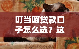 叮当喵贷款口子怎么选？这5大诀窍帮你轻松避坑！