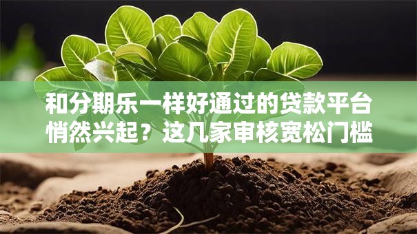 和分期乐一样好通过的贷款平台悄然兴起？这几家审核宽松门槛低！