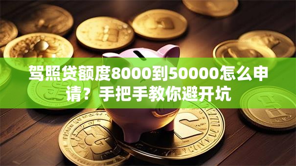 驾照贷额度8000到50000怎么申请？手把手教你避开坑